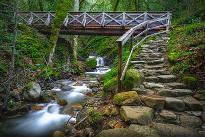 Stream flowing through rocks in forest