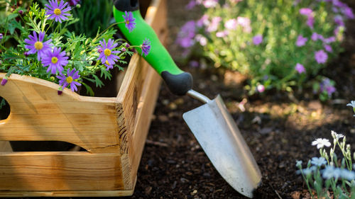 Gardening. crate full of flowerpots and garden tools ready for planting in sunny garden. 