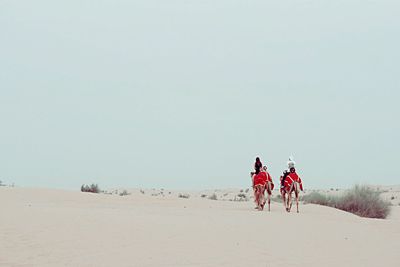 Rear view of people walking on sand