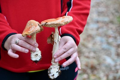 Midsection of woman holding red cake