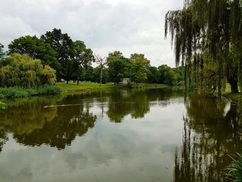 Scenic view of lake with trees in background