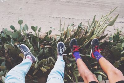 Friends standing on field