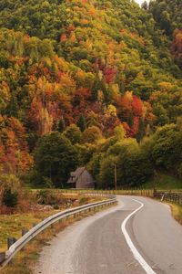 Road amidst trees in forest during autumn