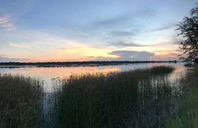 Scenic view of lake during sunset