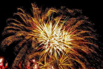 Low angle view of firework display at night