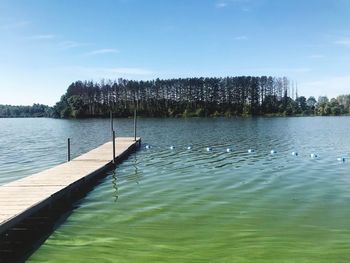 View of birds in lake against blue sky