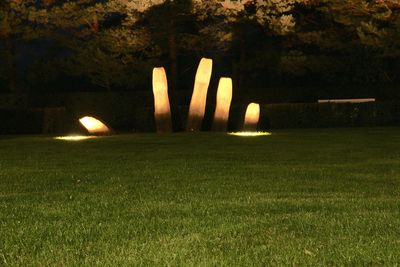 Trees on field
