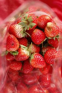 Close-up of strawberries