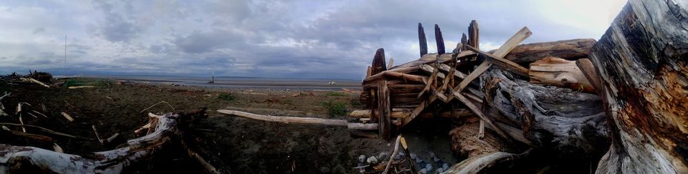 Panoramic view of driftwoods at beach against cloudy sky