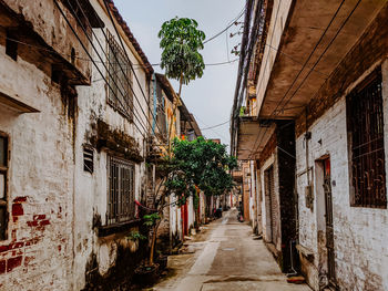 Narrow alley amidst buildings in city