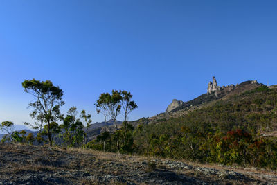 Trees on landscape against clear blue sky