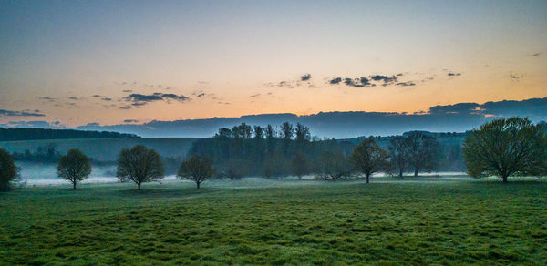 Trees on field against sky during sunset