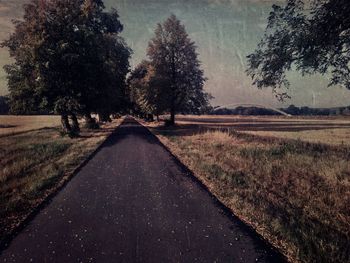 Road amidst trees on field against sky