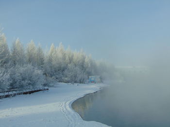 Scenic view of snow covered trees against sky
