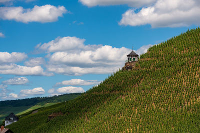 Panoramic view of a vineyard on the moselle, germany