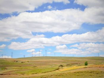 Scenic view of agricultural field against sky