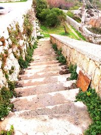 Steps amidst plants and trees