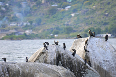 Scenic view of sea