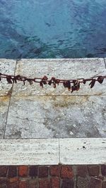 High angle view of swimming pool by lake