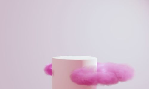 Close-up of pink flower against white background