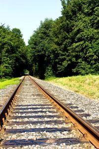 View of railroad track along trees