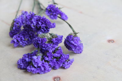 Close-up of lavender flowers