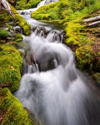 Stream flowing through rocks in forest