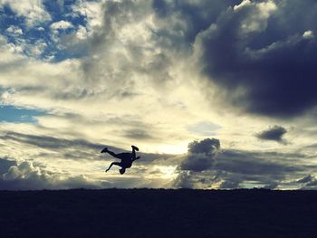 Silhouette of bird flying against sky