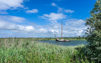 Boats moored on field against sky