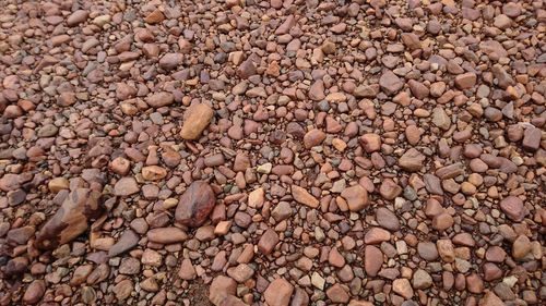 Full frame shot of pebbles