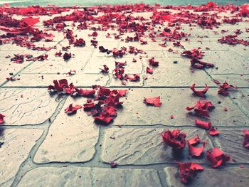 High angle view of red confetti on footpath