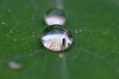 Close-up of water drops on grass