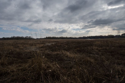 Scenic view of field against sky