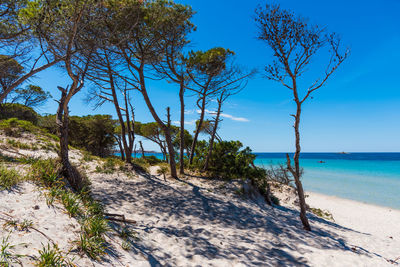 Scenic view of sea against clear blue sky