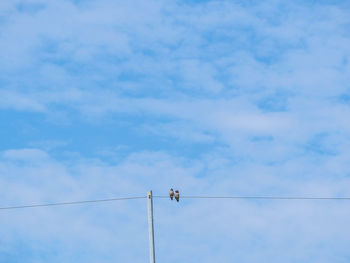 Low angle view of birds on cable against sky