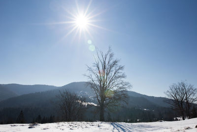 Scenic view of snow field against clear blue sky