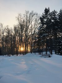 Trees on snow covered field against sky during sunset