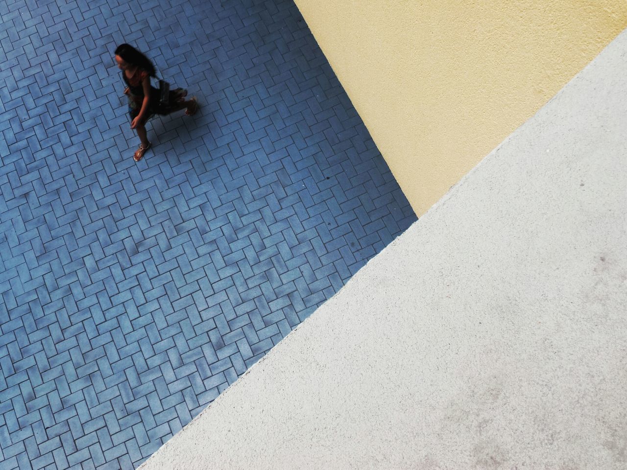 animal themes, bird, one animal, high angle view, street, day, wildlife, shadow, outdoors, pattern, flying, wall - building feature, sunlight, animals in the wild, built structure, pigeon, architecture, no people, tiled floor, walking