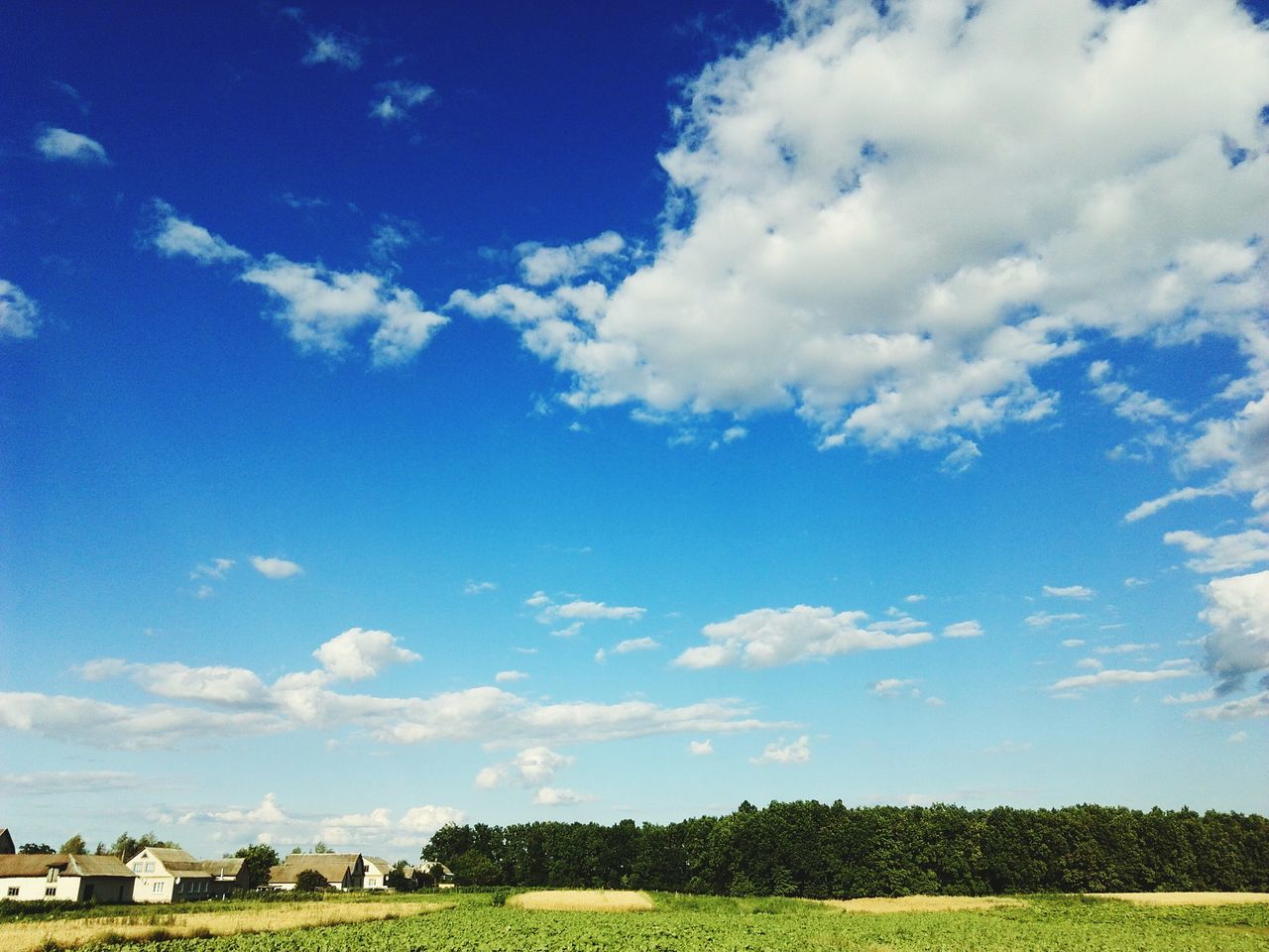 sky, grass, field, blue, tree, cloud - sky, landscape, cloud, tranquil scene, tranquility, nature, beauty in nature, scenics, green color, growth, grassy, day, outdoors, rural scene, no people, cloudy, idyllic, remote, non-urban scene, green, horizon over land