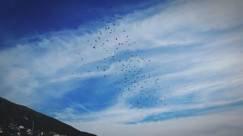 Low angle view of silhouette birds flying against sky