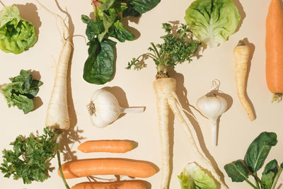 Overhead view of fresh vegetables parsnip, carrot, garlic. spinach, parsley. concept of healthy food