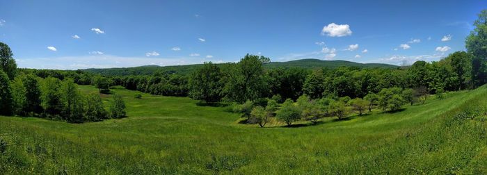 Panoramic shot of trees on field against sky