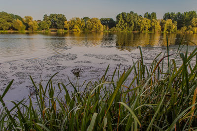 Scenic view of lake against sky