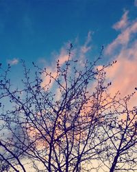 Low angle view of silhouette bare tree against sky