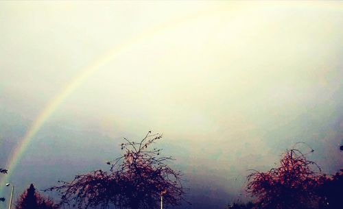 Scenic view of rainbow over trees