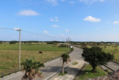 Vehicles on road by plants against sky