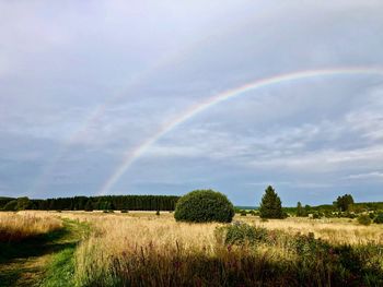 Scenic view of field against rainbow in sky