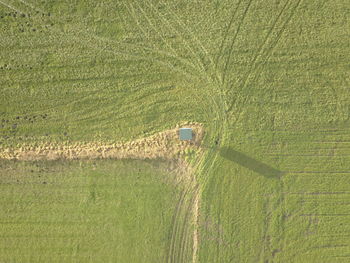 View of agricultural field