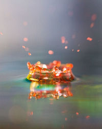 Close-up of illuminated reflection in water