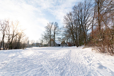 Bare trees on snow covered field against sky